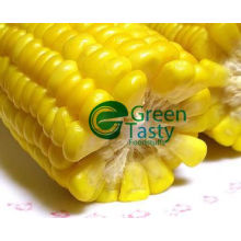 New Crop IQF Frozen Chinese Sweet Corn